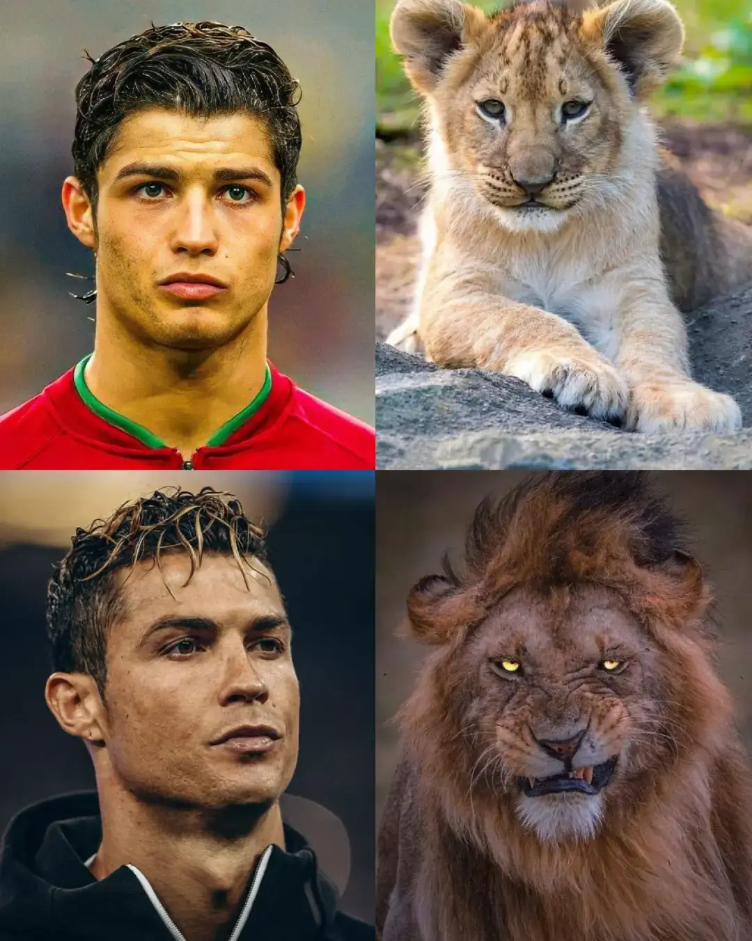 The image contains a short biography of Cristiano Ronaldo. Here's the text transcribed: footyzer Cristiano Ronaldo born on February 5, 1985, in Funchal, Madeira, Portugal, is a football icon renowned for his exceptional skills, athleticism, and goal-scoring prowNess. His professional journey began at Sporting CP, but it was his move to Manchester United in 2003 that catapulted him to global stardom. At United, Ronaldo won three Premier League titles and the UEFA Champions League in 2008, earning his first Ballon d'Or. In 2009, he transferred to Real Madrid for a then-record fee of €94 million. During his nine-year tenure at Real Madrid. Ronaldo became the club's all-time top score, winning four Champions League titles and five more Ballon d'Or awards. In 2018, he joined Juventus, adding two Serie A titles to his extensive list of accolades. Ronaldo's career is marked by his relentless pursuit of excellence, reflected in his numerouS records and honors. Off the pitch, he is k#ronaldo 