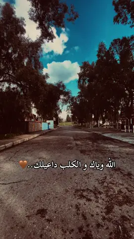 توكل ع الله وروح🤎..#تصويري #تصوير #fypシ゚ #تصويري_احترافي #fyp #اغاني_عراقيه #اغاني_عربيه #ستوريات 