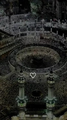 #اللهم #بلغنا #يوم #عرفة #اللهم #امين #يارب❤️ #ذي #الحجه #دعاء_يريح_القلوب_ويطمئن_النفوس #دعاء_يريح_القلوب 