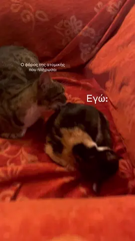 Business owners ελάτε να κλάψουμε μαζί #foryou #greek #business #efka 