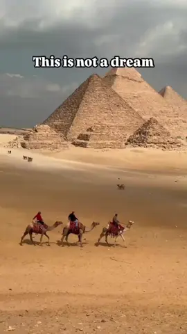 From pharaohs to parties... only Egypt does it like this 🇪🇬✨   Ancient wonders, sun-kissed sands, and timeless vibes—   Habibi, come to Egypt. We’ve been waiting for you 💛🌍   #FlyAndFindEgyptTours #EgyptReels #AncientEgypt #HabibiComeToEgypt #TravelTok #tiktoktravel #FunInEgypt #DesertVibes #LuxuryTravel #CultureTok #BucketListTrip #Wanderlust 