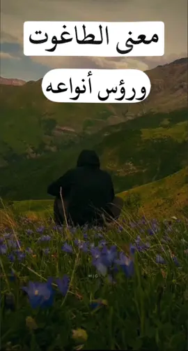 #التوحيد #القران_الكريم #تركيا #مصر #سوريا #ادلب #العراق #الطاغوت #دروس #الجزائر 