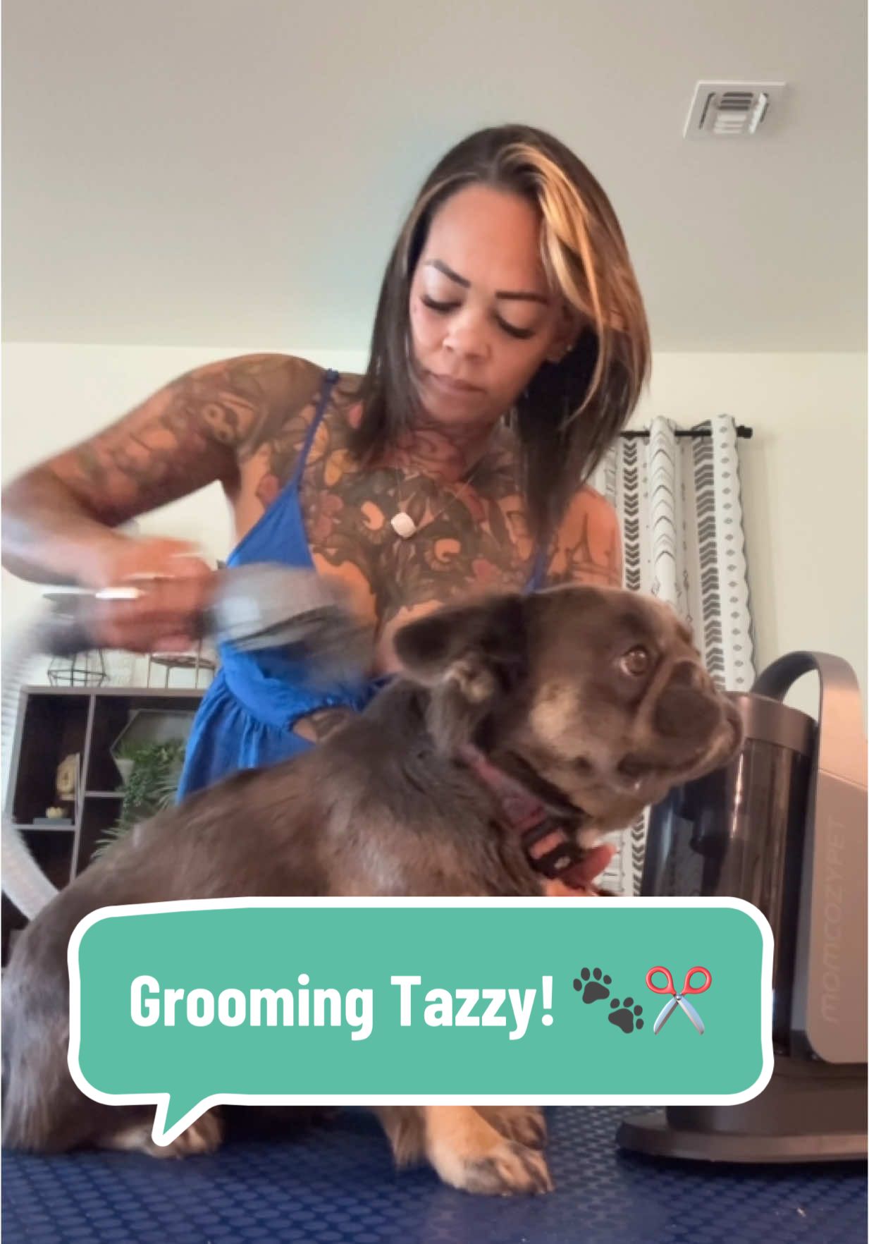 Honestly this is probably one of my favorite grooming vacuums because it’s so affordable! You can use code: ARIAWOLF to get 50% off on Amazon right now! 🔗 in B I O for yall 🩷 #FrenchBulldog #Frenchie #Grooming #GroomingVacuum #Ultrasound #DogUltrasound #momcozypet #momcozy #furease #petskinhealth #allergyseason #PregnantDog #FluffyFrenchie  