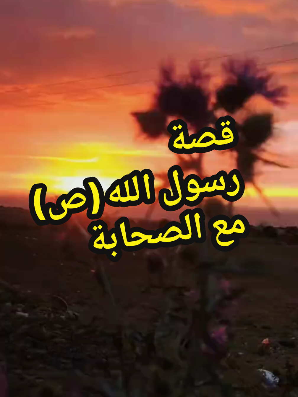 #قران_كريم_ارح_سمعك_وقلبك 