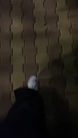 #اكسبلور_تيك_توك ❤️‍🔥