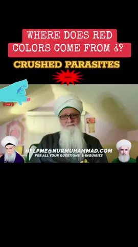 @Shaykh Nurjan Mirahmadi @MysticMeditation.Records 