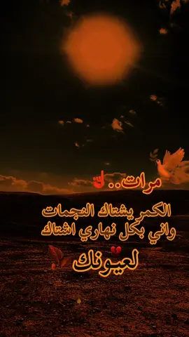 هناه تكتب كلمات المفتاحية SEO#تصويري_احترافي_الاجواء👌🏻🕊😴 #حزن_غياب_وجع_فراق_دموع_خذلان_صدمة💔 #حزينہ♬🥺💔 