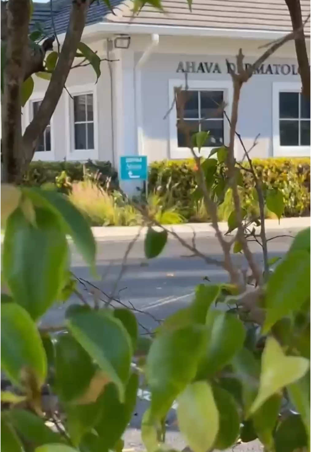 🎬 Meet our team… Office-style 😎🧴 Get ready for a behind-the-scenes look at Ahava Dermatology like you’ve never seen before! More Office-themed clips coming soon—stay tuned! #DermTok #TheOfficeParody #SkincareWithLove #AhavaDermatology #MeetTheTeam #skincaretips #summerglow #skincare #skinhealth #skinproducts 