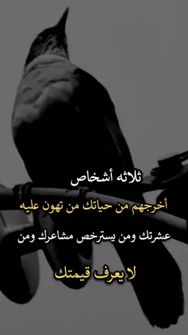 #هاشتاك_العراق #مشاهير_تيك_توك #هاشتاقات_تيك_توك_العرب #شعراء_وذواقين_الشعر_الشعبي #شعر_عراقي 