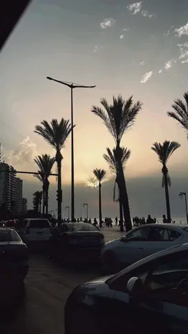 #كلو_كذب_ماحدا_بيعشق_حدا🖤 