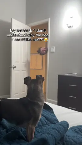 “Don’t rile up the dog” 😂 @I Can’t Even (via:@Raycheal Winters 🪼) 
