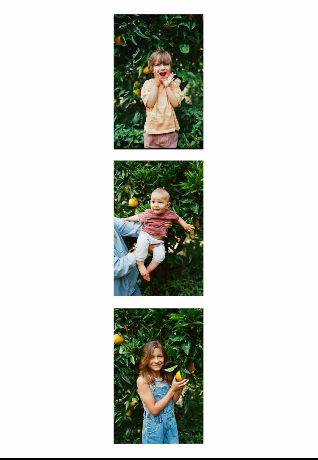Because family photos should feel like you #filmpphotography #familyphotographer #sandiegophotographer #californiaphotographer #fyp 