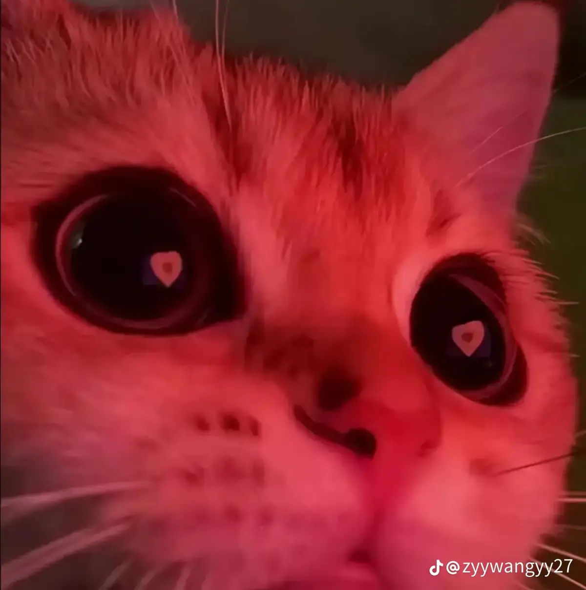 #bdtiktokofficial #🚬🚬🔥🔥🔥💯💯💯💯🎵🎶🎵👆 #freefire_lover 