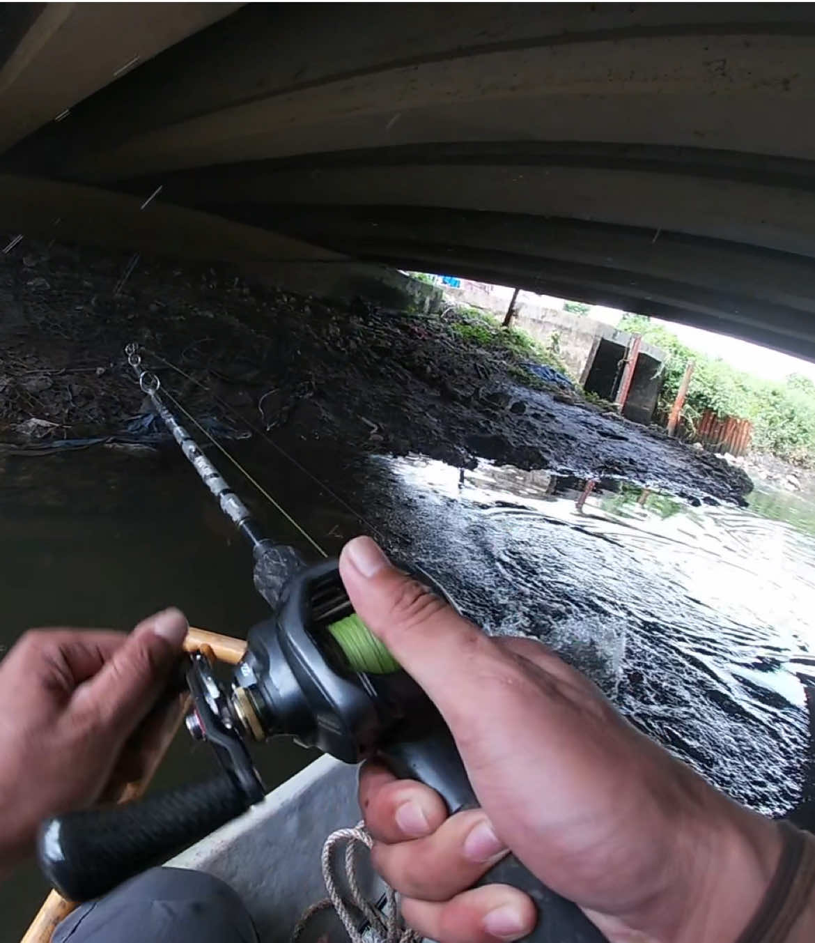 Top water explosion #toman #channamicropeltes #gaintsnakehead #drvfishing #drvprostaff 