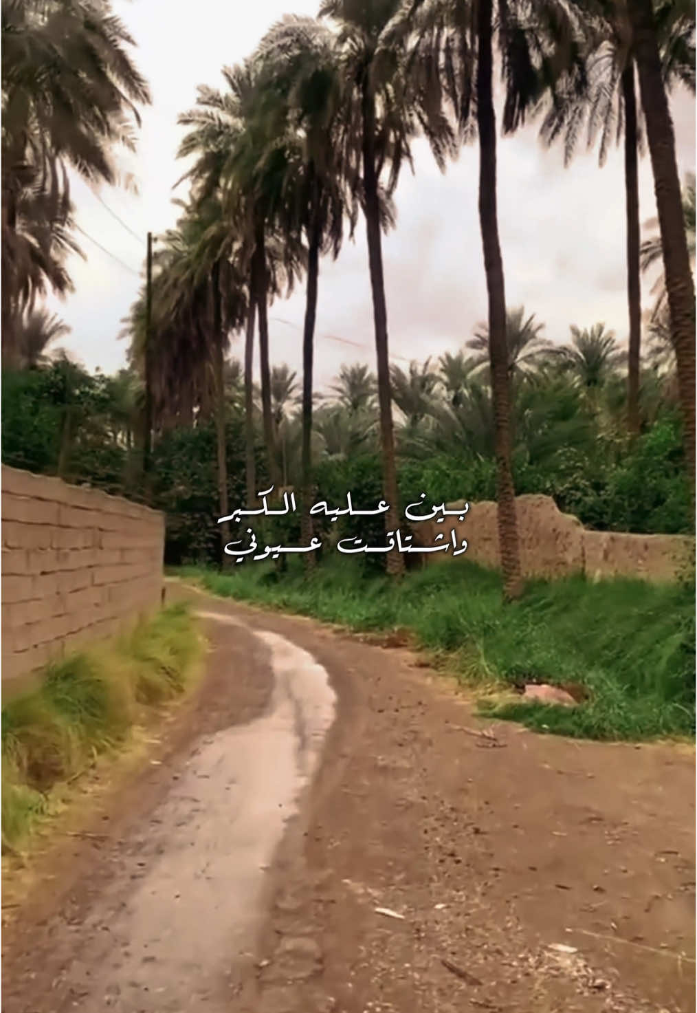 بين عليه الكبر واشتاقت عيوني 🤎 . . . ♡ㅤ   ❍ㅤ     ⎙ㅤ     ⌲ ˡᶦᵏᵉ  ᶜᵒᵐᵐᵉⁿᵗ    ˢᵃᵛᵉ   ˢʰᵃʳᵉ . . . #حسين_نعمة  #قديم #جيل_الطيبين #الزمن_الجميل