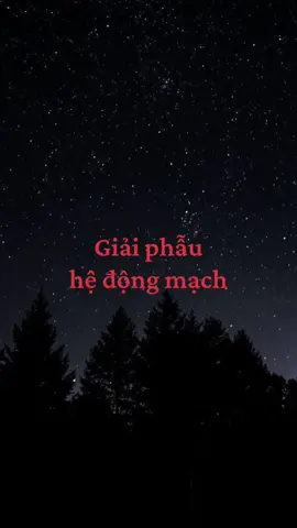 giải phẫu- hệ động mạch #giaiphau #giaiphaukhongkho #giaiphauhoc #dongmach 