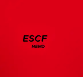 Escape - Nemzzz #fyp #lyrics #song #nemzzz #CapCut 