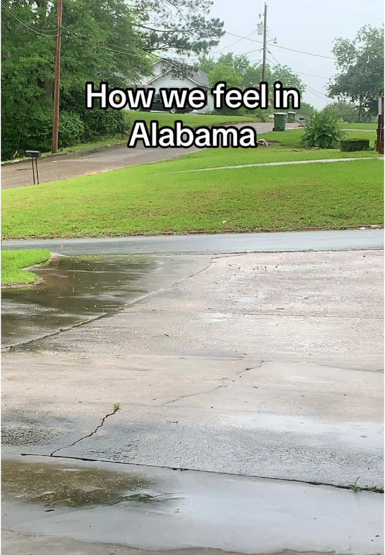 literally everyday😒 #foryou #alabamaweather #forestgump #rain 