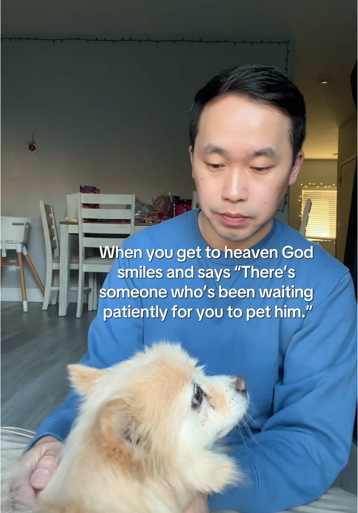 Since the passing of my beloved Conrad, I’ve prayed every night for him to visit me in my dreams—just to know he’s okay. After 6 months of silence, he finally appeared last night for a brief moment. He wasn’t alone, he was with my aunt who also passed. I used to worry that he might not know anyone in heaven, but now I know he’s not alone. 🐶🕊️ #dogloss #pomeranian #dogsoftiktok #heaven #alldogsgotoheaven 