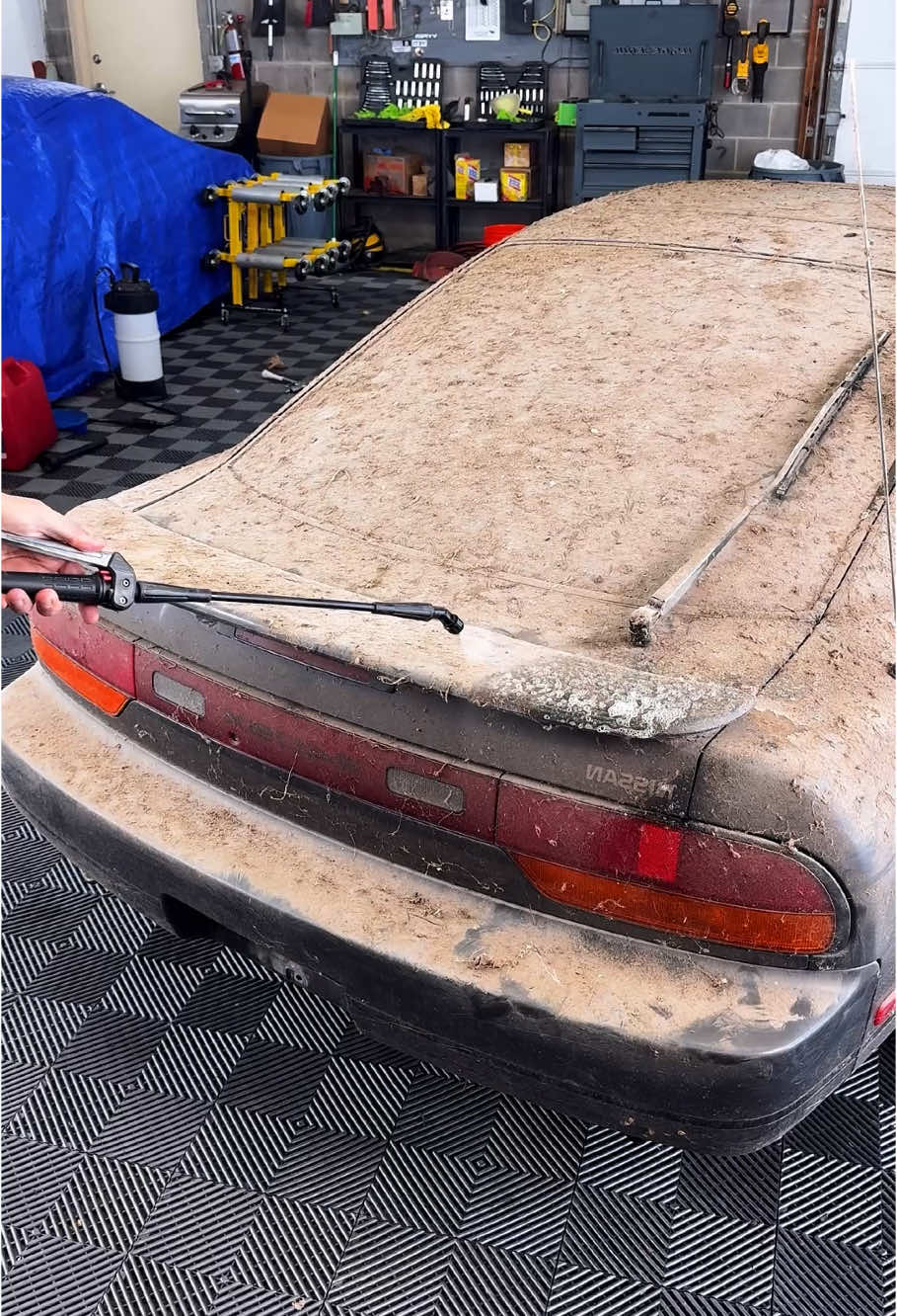 #carwash #carwashing #cardetailing #carcleaning #detailing #washing #cleaning #asmr #fyp 