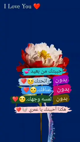 #القلب_الحزين🥀💔________✍️مجروح #أكسجيني_الله_لا_يحرمني_منك😍❤ #الرمنسية_البدوية😅😊😍 #إكسبلوررررررر_explore #إكسبلوررررررر_explore♡💈😍❤❤😍💈 #العشق_الممنوع #المغربيات_أجمل_نساء_الكون🇲🇦مغربية #وجدة_جرسيف_الناظور_بركان #الجزائر🇩🇿😘تيك_توك_ #المغرب🇲🇦 #الناظور_الحسيمة_طنجة_العروي_المغرب😍 #الأصدقاء_عائلة_أخرى_أنجبتها_الأيام #المغرب🇲🇦تونس🇹🇳الجزائر🇩🇿تركيا🇹🇷_العراق🇮🇶 #iloveyou #lhob❤️58wilayaa🥵💉🔥 #تيك_توك #lhob❤️❤️❤️ #loveyou #morocco🇲🇦_algérie🇩🇿❤️🔐 #nador 