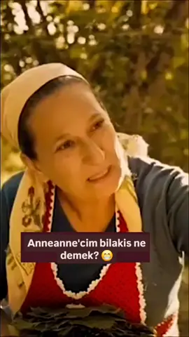 Köpeksiz köyün değneksiz çobanı misal 😂🎬✔️ #dizifilmreplikleri #keşfetbeniöneçıkar #keşfet 