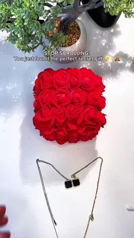 Guys if you’re interested, we put our link in our profile/bio 🫶💎 #secretnecklace #necklace #gift 