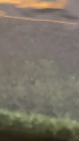 #غني_للحب_غنيلي_غني❤️  #الرائع #مروان_خوري 