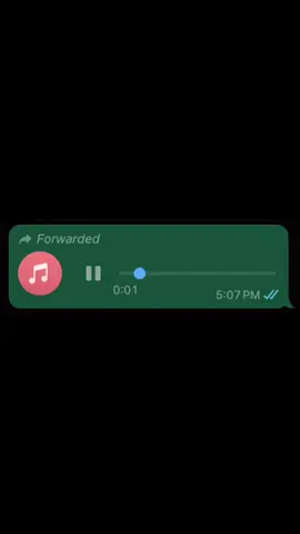 Que el señor los perdone! 🙇🏽‍♂️😂  #yoyoaudios #fyppppppppppppppppppppppp #parati #viralvideos #whatsappstatus #risa #foryoupage❤️❤️ #dominicano #audios #cura #estadosparawhatsapp #audiosvirales #whatsapp_status 