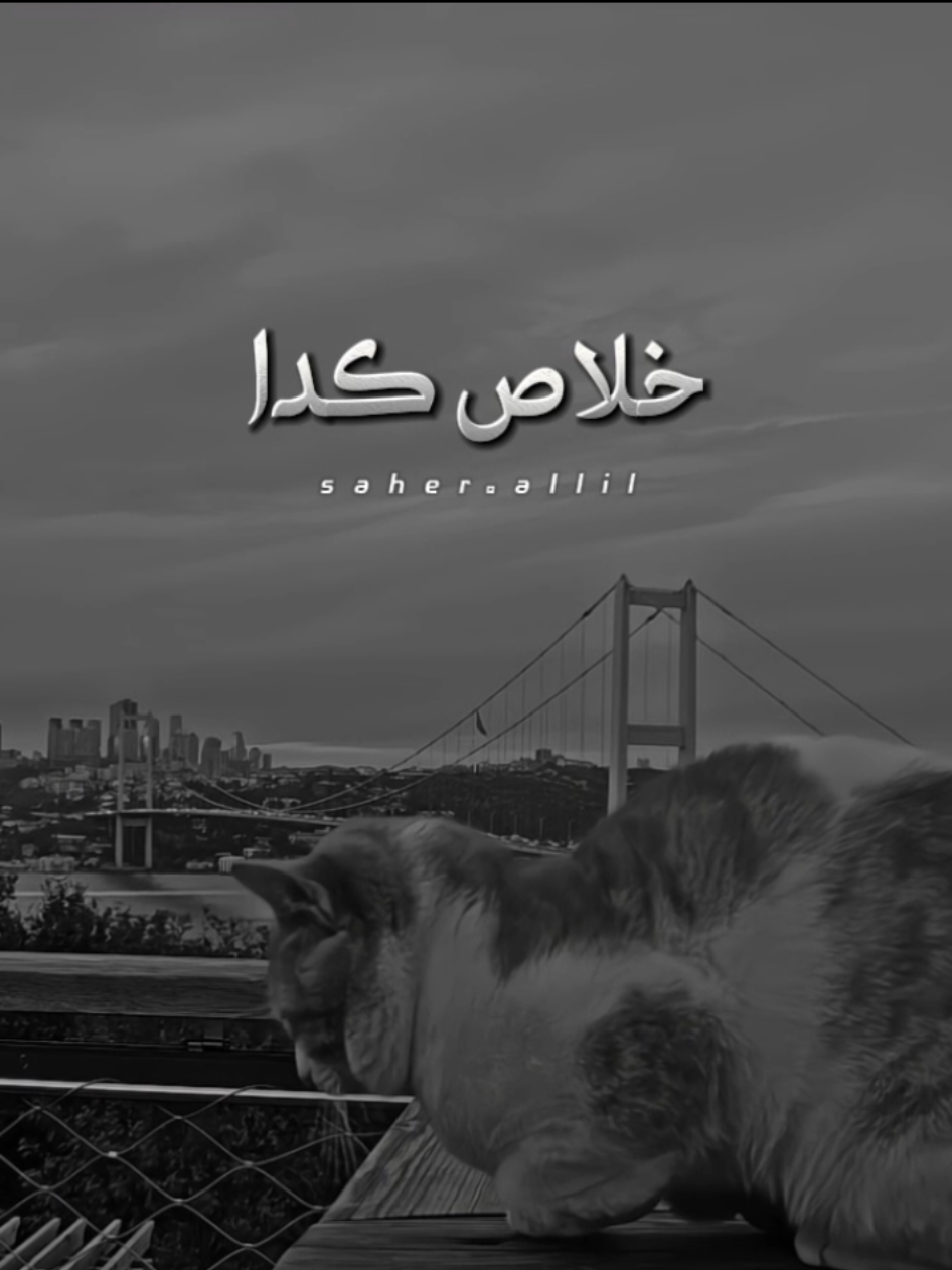 اردنا ذلك .. لكن سئمنا من الرغبة ..!🥀🍂 @عامر الخوذيري  . . . #خلاص_اصبحت_الامور_دون_اي_دوافع  #CapCut #creatorsearchinsights #عامر_الخوذيري #محظور_من_الاكسبلور🥺 #اخر_اشي_نسختو💭🥀 #خلاص_كدا 