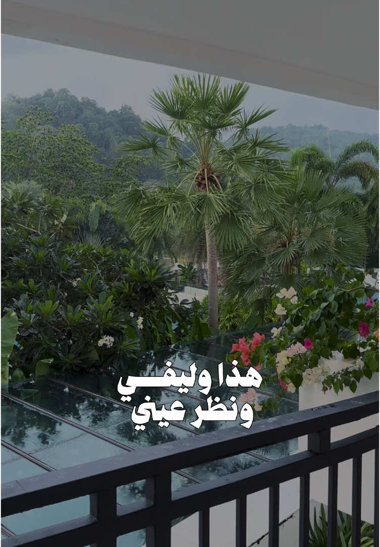الشيله اذا سمعتها عيوني قلوب لا ارادياً 🥹❤️ #على_جوي #طبيعة #شيلات_ياسر_الشهراني 