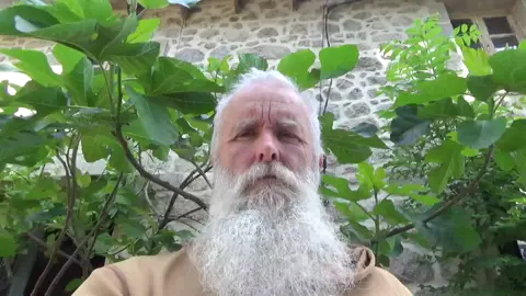 The Fountain of Youth