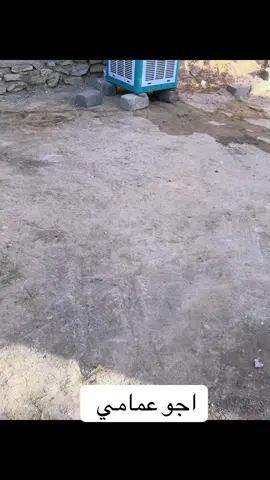 بيكم زود ابقو للعصر ذول عمامي اجو 😂