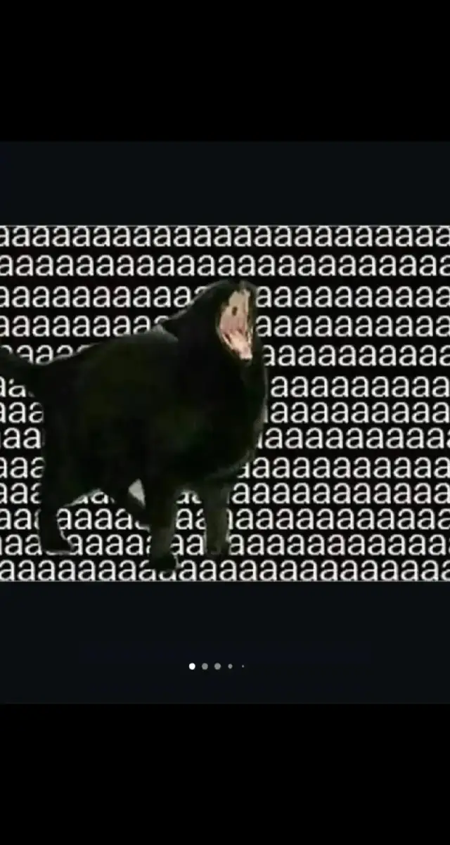 aaaaaaaaaaaaaaaaaaaaaaa #a #aa #aaa #aaaa #aaaaa #aaaaaaa #aaaaaaaa #aaa