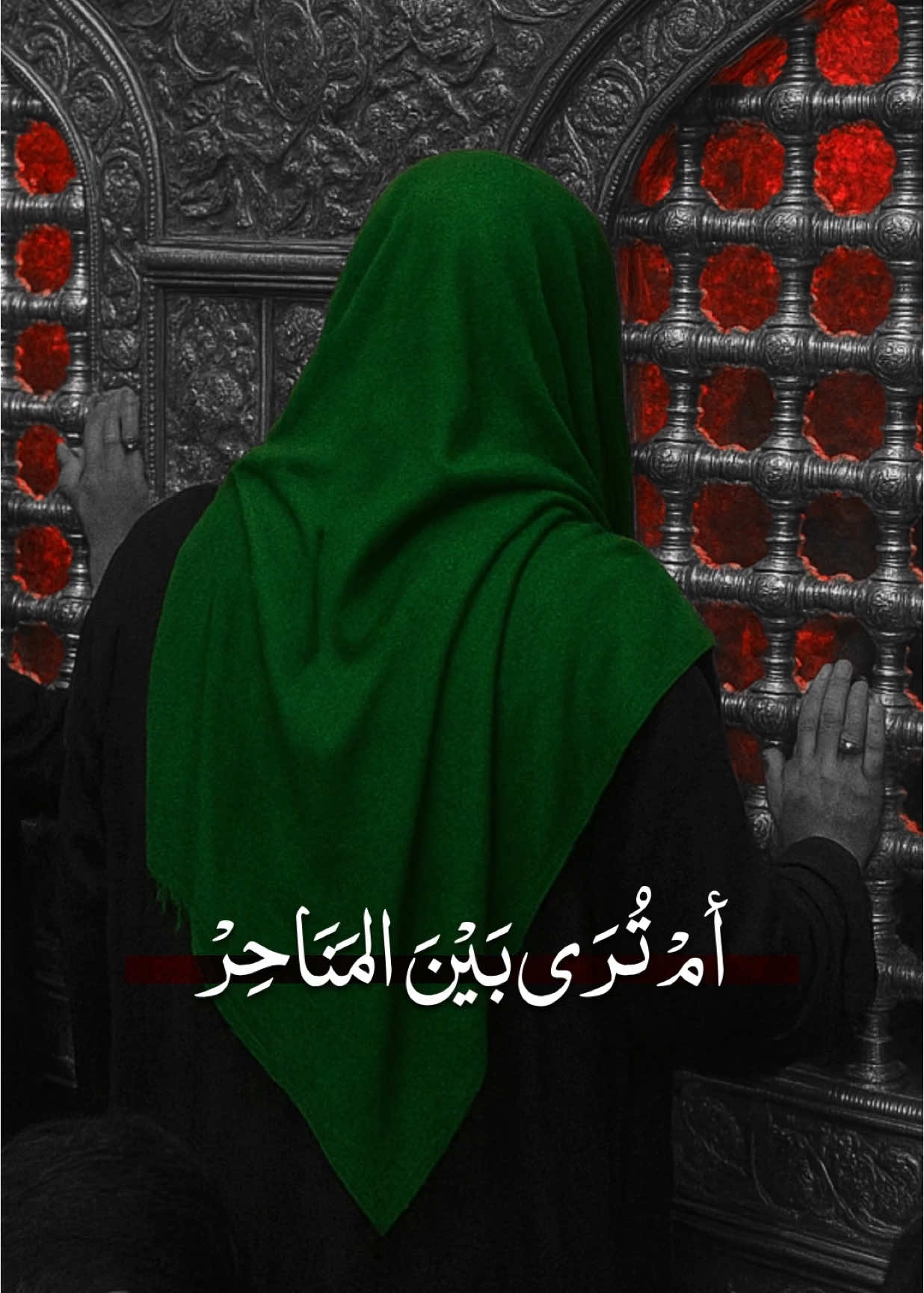 اسم القصيدة : مولاي #باسم_الكربلائي #trending #explore #الامام_المهدي 