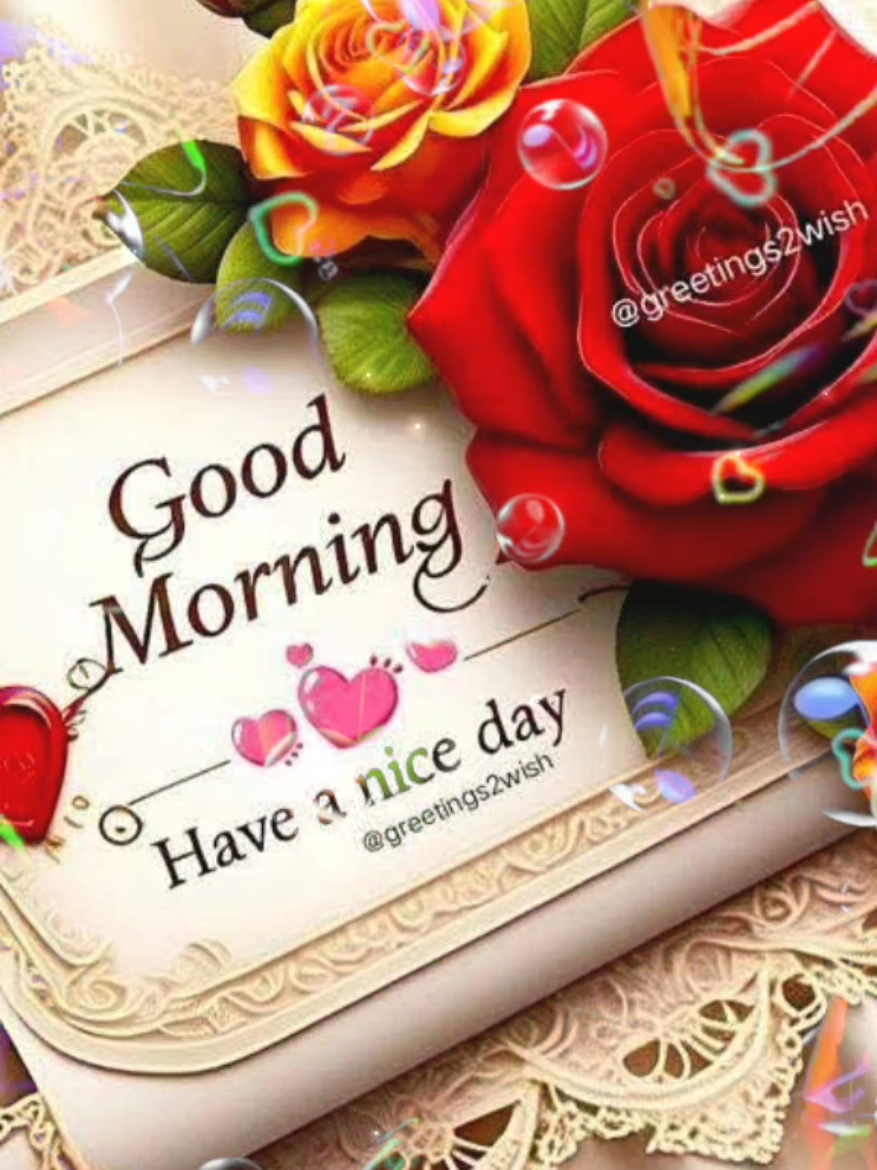 #CapCut #hellofriday #goodmorning #itsanewday #itsfriday #goodmorninggreetings #fridaymorning #fridayvibes #goviral #foryoupage #trending 