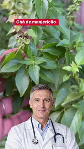 😱 Você Sofre com Ansiedade? Esse Chá de Manjericão Pode Mudar Sua Vida! 🍃✨ #dicas #doutor #receita #saudades