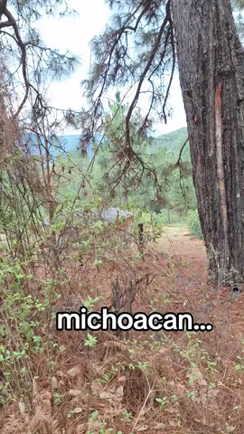 #michoacan #balacera #sierra #viralllllll 