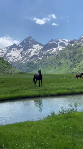 #القران_الكريم #القران_الكريم_راحه_نفسية #fypシ゚viralシ 