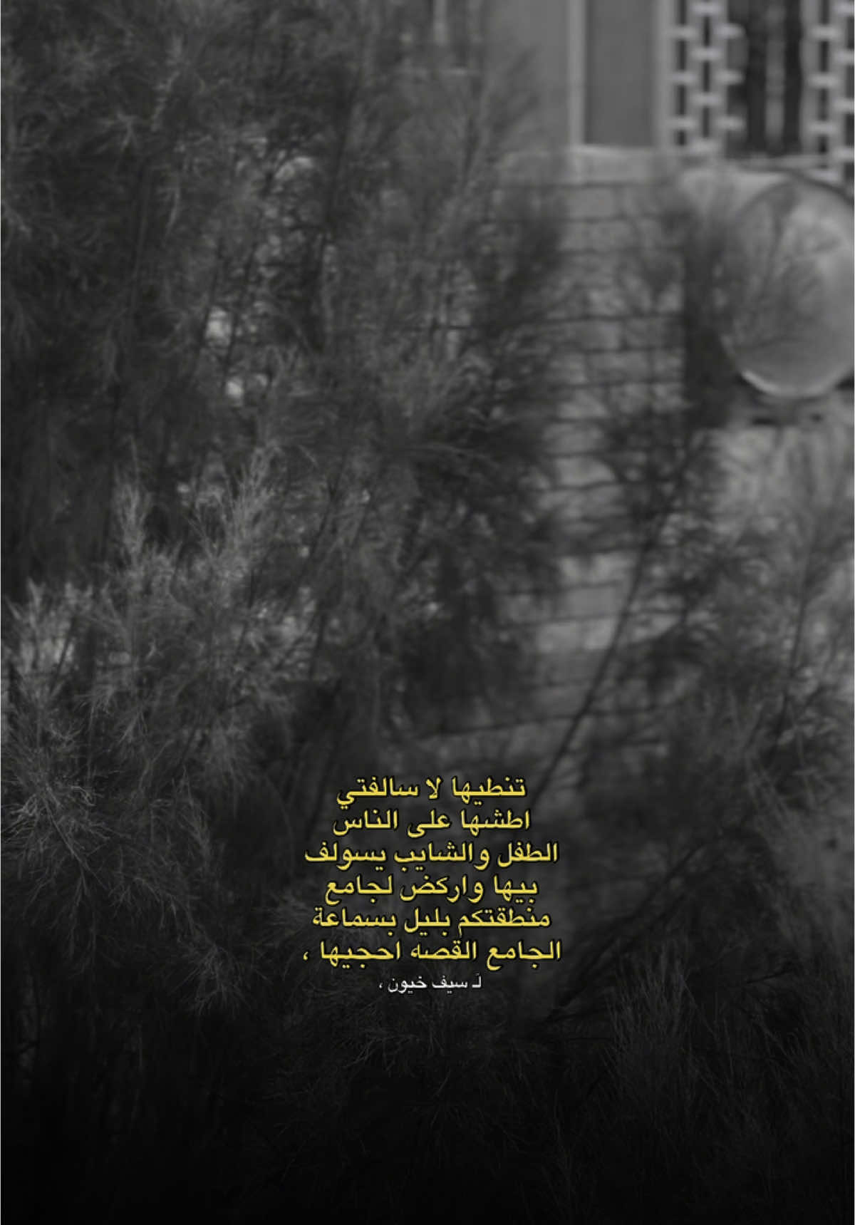 @سيف خيون 🌷✨. #عبود_الهلو🖤 #عبود_الهيثم #القيارة #الجواعنة #fyp #viral 