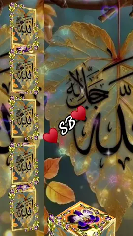 #allah❤️ #hazartmuhammads_s_a_w_w_❤️ #foryou #muslimtiktok #islamic_video #fypシ #foyoupage #jummamubarak 