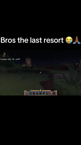 Bros the symbol of peace #Minecraft #aurafarming #superhero 