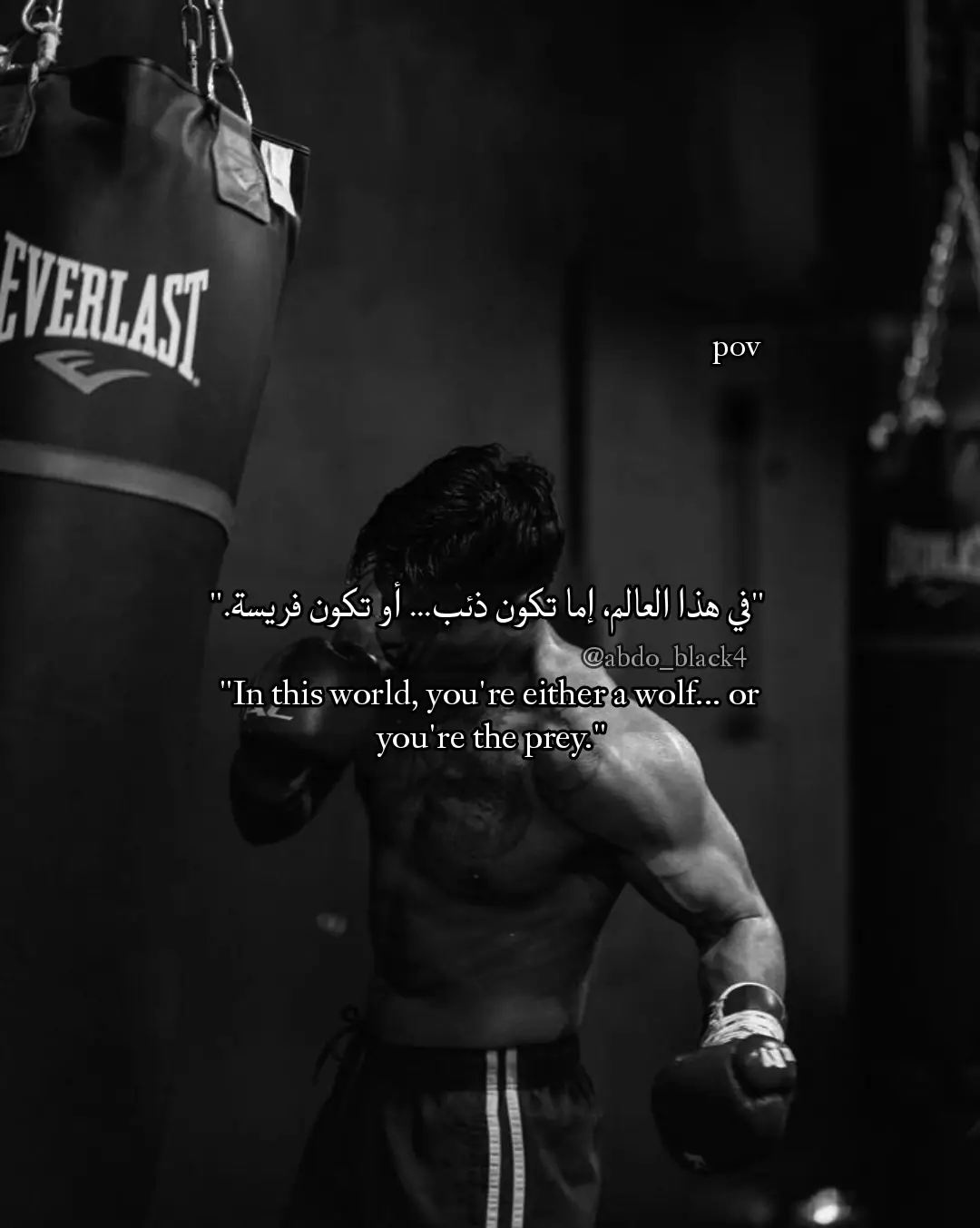 #اقتباسات📝 #اقتباسات_عبارات_خواطر #اقتباساتي❤ #عباراتكم_الفخمه🦋🖤🖇 #عبارات_جميلة🦋💙 #اقتباسات