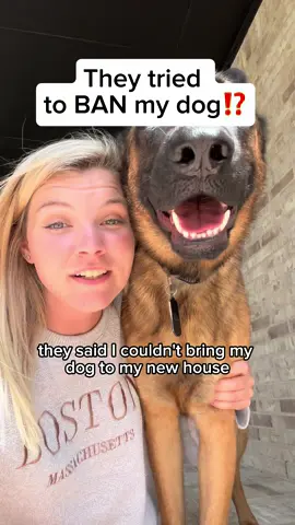 You might qualify for an ESA Letter! Check out Pettable! #pets #PetsOfTikTok #fyp #pettable #dogs #animals #dogtok #petowner #lifeofpets 