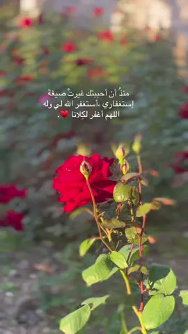 اللهم إني أستودعتك أغلى ما أنعمت به علىّ ❤️‍🩹#زوجي #foryou #fyp #fyppppppppppppppppppppppp #تصوري_احترافي_رايكم_💛💛 #اكسبلورexplore #أستغفروا #تصويري📸 