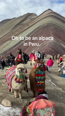 Dream life. #peru #rainbowmountain #fyp #foryoupage 