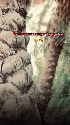 واهس مابقئ ……#عباره_للفيديو🙂💔 #تصميم_فيديوهات🎶🎤🎬 #عباراتكم #تصويري_احترافي_الاجواء👌🏻🕊😴 #ستوريات_حزينة #تصويري📸 #📷 