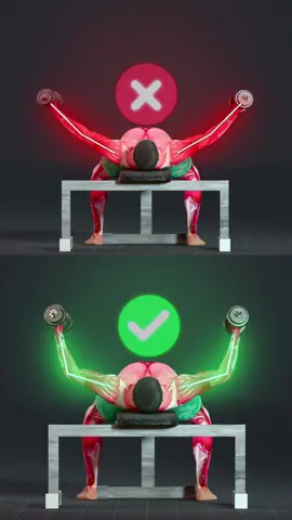 Most people mess up the dumbbell fly without realizing it. Straight arms = shoulder stress, bicep strain, and less chest gains. This form mistake can wreck your joints and kill your progress. ✅ The fix? Keep a slight bend in your elbows, lower with control, and squeeze at the top. You’ll keep tension on your chest and finally feel the right burn. Train smart. Stay safe. Build real muscle. #SynerMuscle #ChestTraining #FixYourForm #FlyRight #InjuryFreeGains #3DTraining #GymTok #strength 