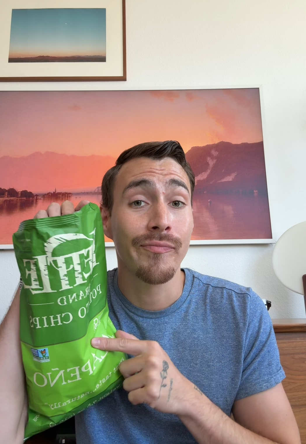 Or am I just loud and wrong and these aren’t kettle chips and just a kettle brand? LMAO #hottake #thisorthat #snackreview #nothanks #tiktokeats 