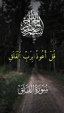#قرآن_quran #قل_أعوذ_برب_الفلق #سورة_الفلق #عبد_الباسط_عبد_الصمد #الحنجرة_الذهبية #مزامير_آل_داود #القرآن_الكريم #quran_alkarim #الذكر_الحكيم #قرآن_بصوت_جميل #تلاوات_خاشعة #تلاوات_قرآنية #آيات_قرآنية #أرح_سمعك_وقلبك #راحة #fypシ゚viral #foryoupwge #اكسبلورexplore 